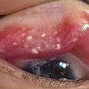 두미목장 이미지