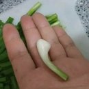 애플몽키 이미지