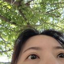 정희식당 | 밀양 얼음골 정희식당 후기(평상대여 및 음식)