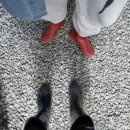 팔봉청삼골돌배마을 | 홍천펜션 :: 약돌배테마관광펜션::