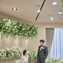 아이올라 이미지