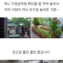 별라촌 | 여수 삼계탕 맛집 별라촌 오리백숙 사계절 인기!