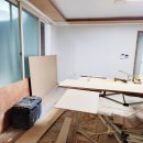 디어베어켄넬 이미지