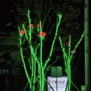 별빛공원 앞 횡단보도 이미지