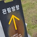 미륵사지유물전시관 | 익산 미륵사지 여행 후기, 국보 석탑까지 직접 본 미륵사지 완벽 코스 (주차·박물관·관람 꿀팁)