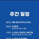 광주 애견유치원 애견호텔 플레이멍 이미지
