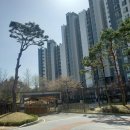 푸른건설산업㈜ 네이버블로그
