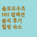 체코 올로모우츠 호텔 추천! 나만 알고 싶은 힐링 숙소 NH 컬렉션 올로모우츠 콩그레스 솔직 후기