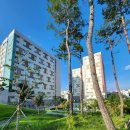 경북대학교 농대4호관 이미지