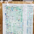 (주)세강 | 교토 교엔 롯카쿠도 청수사 야경 후기