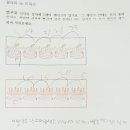 다이스큐브 이미지