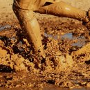 월곶어울림센터 이미지