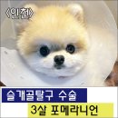 삼송사랑 동물의료센터 이미지