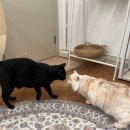 루루호텔 이미지