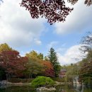 남원 실상사 동·서 삼층석탑 | 경상북도 경주 여행 불국사 가을 단풍 이야기 절 사찰 석가탑 다보탑 국가유산 방문 캠페인