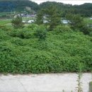 외동마을회관 이미지