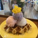 피오르디 젤라또 이미지