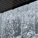 더하얀세상 이미지