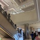 곡성-225 | 손님이 추천해준 공포영화🎬 직접 보고 남기는 솔직 후기