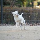 원신근린공원 이미지