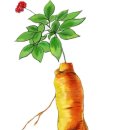 광진 능동로35길 이미지