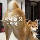 복복복