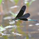 포시즌스요양병원 이미지