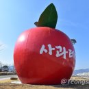 사과테마파크사과관 티스토리