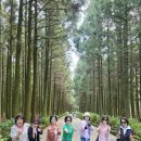투어버스여행(주) | 제주도 관광버스 투어 이용후기 제주 단체여행에 정말 편했어요