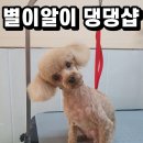 별이알이 댕댕샵 이미지