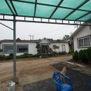 강화 신토오리 이미지