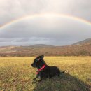 무지개메디칼 이미지