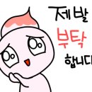 묘한인생 이미지