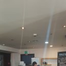 맨앤독 애견카페 | 김해 내외동 맨앤독 애견카페 방문후기