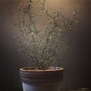 스페이스반건축사사무소