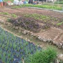 용전농장 이미지