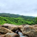 천리향 펜션 이미지