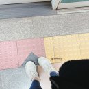아키코키아 | 2021년 3월 넷째주의 일상 - 출근하기 싫어