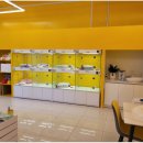 플랜멍 강아지분양 포항점 이미지