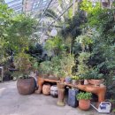 배꼽농원 이미지