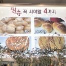 팡슈 - 6018 | 팡슈