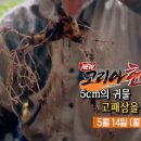 광천독바위토굴새우젓 이미지