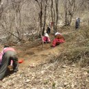 푸른솔 농장 이미지