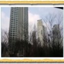 반송중교 이미지