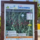 원주굽이길 16코스 매지순환둘레길 | 매지순환 둘레길 16코스