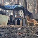 김용환농장 이미지