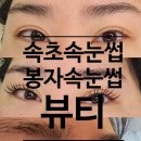 봉자속눈썹 이미지
