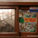 고등여인숙 이미지