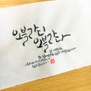 오블라디 이미지