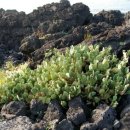 연세외도정형외과의원 이미지